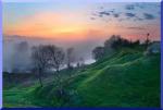 nature01s.jpg