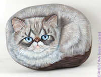 Сиамская кошка Сиамская кошка