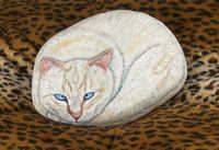 Белая кошка Белая кошка
