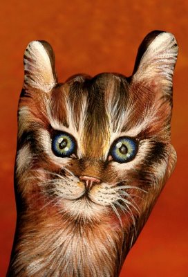 Кошка. Кошка.