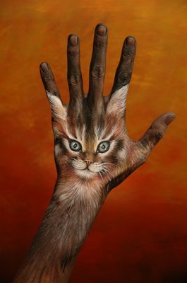 Кошка - рука. Кошка - рука.