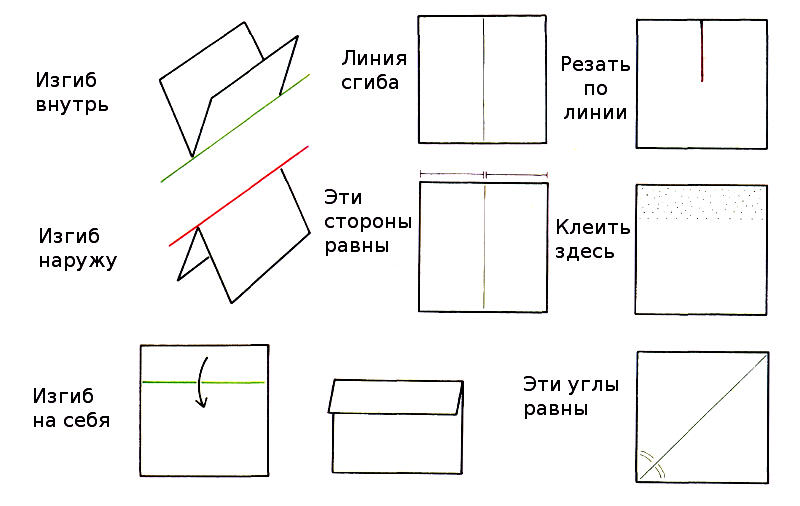 Как показывают линии сгиба