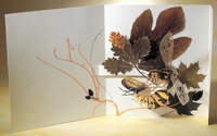 Натюрморт с бабочкой из бумаги