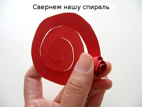 Бумажная роза. Шаг - 3 Бумажная роза. Шаг - 3